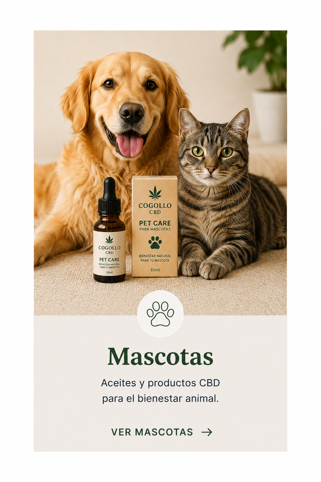 CBD para mascotas